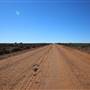Pinnacles Public Road
