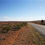 Silverton Road & Landscapes 2017