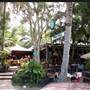 Tree House Byron