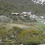Snowy Mountains region