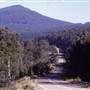 Snowy Mountains region