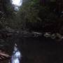 Terania Creek - Waterfalls & Rainforest