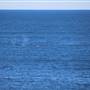 Cape Solander