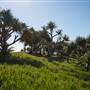 Fingal Head Lighthouse & Coastal Reserve