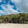 Fingal Head Lighthouse & Coastal Reserve