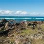Hastings Point