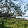 Hastings Point