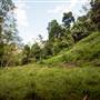 Tunsted Private Property Crystal Creek Valley