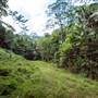 Tunsted Private Property Crystal Creek Valley