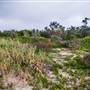 Hickey Island - Yamba