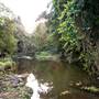 Killen Falls