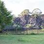 Island Quarry