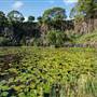Island Quarry