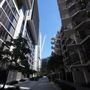 Central Park - Chippendale