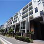 Harold Park Tramsheds & Residential Apartments