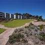 Harold Park Tramsheds & Residential Apartments