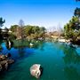 Japanese Garden - Auburn Botanic Gardens