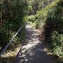 Cameron Boyd Reserve