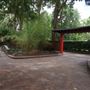 Auburn Botanic Gardens - Japanese Garden