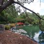 Auburn Botanic Gardens - Japanese Garden