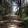 Bass Point Reserve