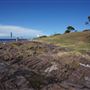 Bass Point Reserve