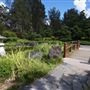 Edogawa Japanese Garden