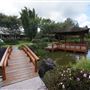 Edogawa Japanese Garden