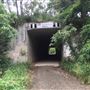 Tunnel on Tweed Valley Way