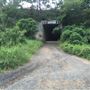 Tunnel on Tweed Valley Way