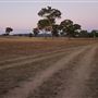 Western Focus Backdrop & Prop Studio - Mudgee Rural Location