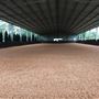 Clifden Park Stables