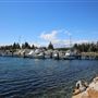 Bermagui
