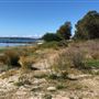 Bonna Point Reserve