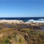 Kamay Botany Bay National Park