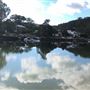 Woronora