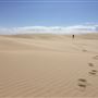 Stockton Dunes - Worimi National Park