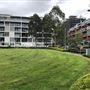 Ballaarat Park - Pyrmont