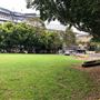 Pyrmont Bay Park