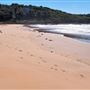 Mystics Beach (Minnamurra Beach) - Killalea State Park