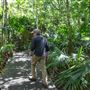 Minnamurra Rainforest Walk - Budderoo National Park