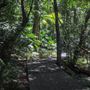 Minnamurra Rainforest Walk - Budderoo National Park