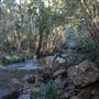 Clarrie Hall Dam