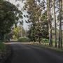 Coolamon Scenic Drive in the Byron Bay Hinterlands