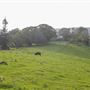 Coolamon Scenic Drive in the Byron Bay Hinterlands
