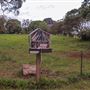 Coolamon Scenic Drive in the Byron Bay Hinterlands