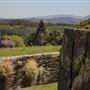 Coolamon Scenic Drive in the Byron Bay Hinterlands