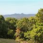Coolamon Scenic Drive in the Byron Bay Hinterlands