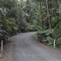 Minyon Falls - Nightcap National Park