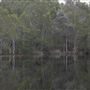 Tyagarah Nature Reserve